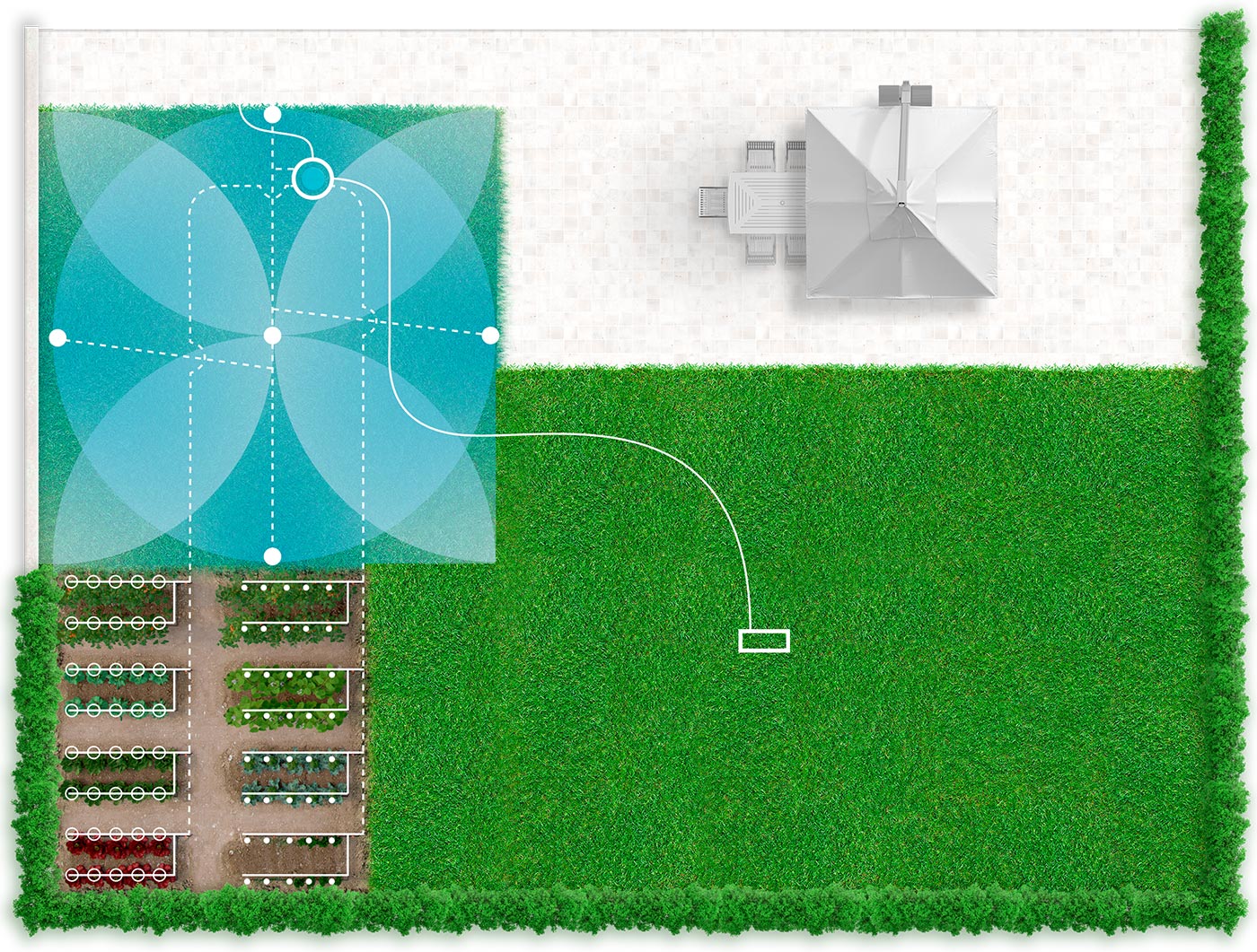 Garden and vegetable patch
