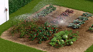 Vegetable patches