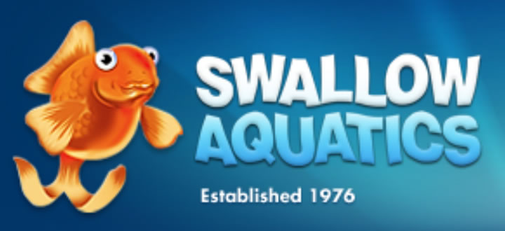 Swallow Aquatics